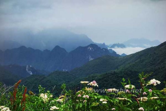 神农架景点 一路向东，不为那神农架的野人（三）