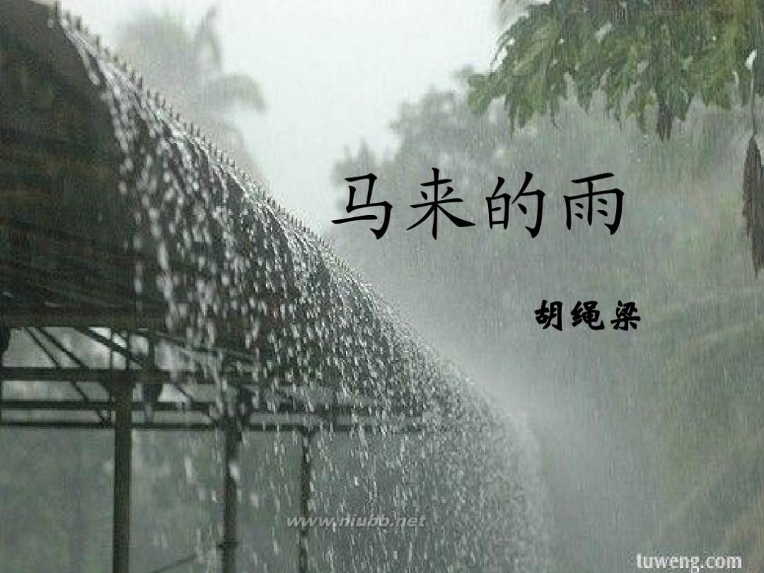 马来的雨 马来的雨PPT(w)