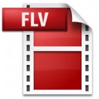 flv文件 如何播放flv文件