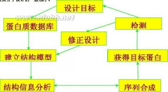 基地班是什么意思 08基地班蛋白质与酶工程复习思考题