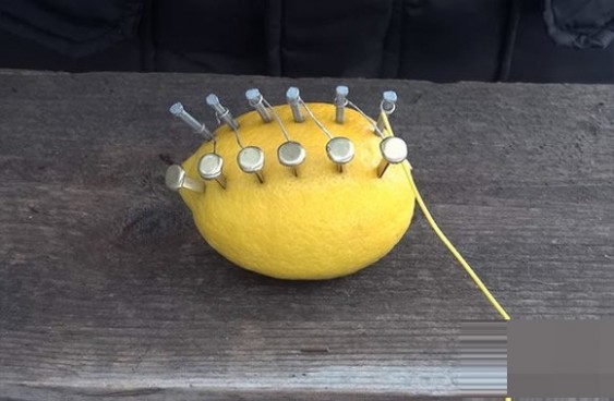 柠檬发电点火的科学小实验