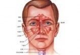 鼻息肉：鼻息肉-概述 ，鼻息肉-自我诊断 _鼻息肉