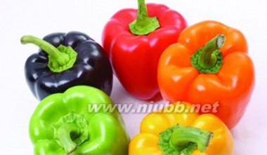 黄瓜和西红柿能一起吃吗 黄瓜和西红柿不能一起吃 吃黄瓜8大饮食禁忌