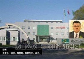 34省市区首富 中国各省市首富排行榜（35P）