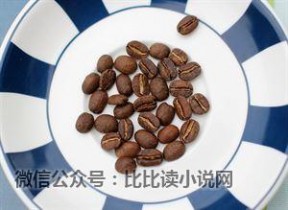 咖啡豆怎么吃 土豪在喝啥咖啡？咖啡豆分级扫盲贴，看完秒懂！