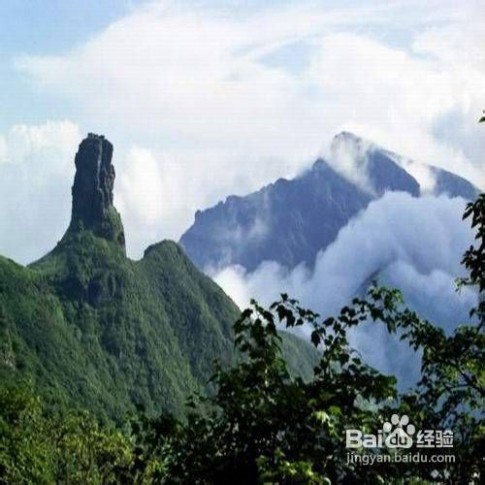 梵净山旅游攻略 梵净山旅游攻略