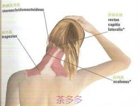 颈部运动 十三个锻炼颈部的动作
