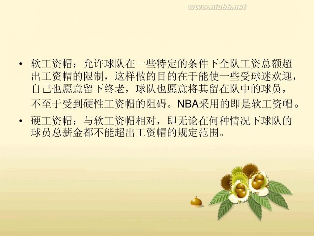 nba2011 nba2011年停摆小分析