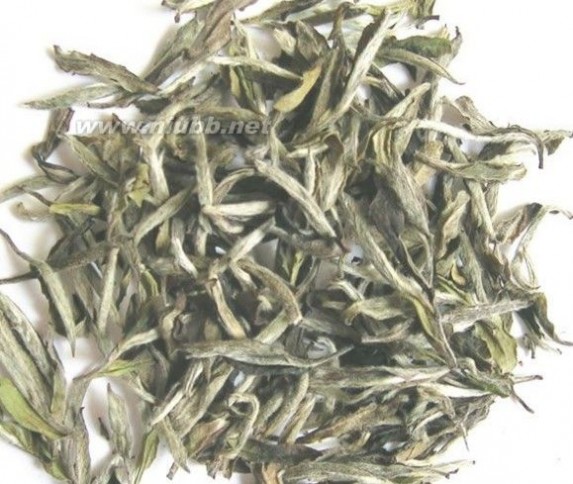 白茶的种类主分为4类_白茶的种类