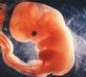 怀孕6个月注意事项 怀孕六个月胎教需注意什么