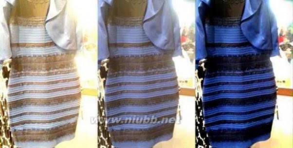 紫色节庆长裙 裙子到底是什么颜色|这条裙子到底是什么颜色？
