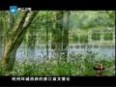 浙江文化地理 大型人文历史纪录片《浙江文化地理》