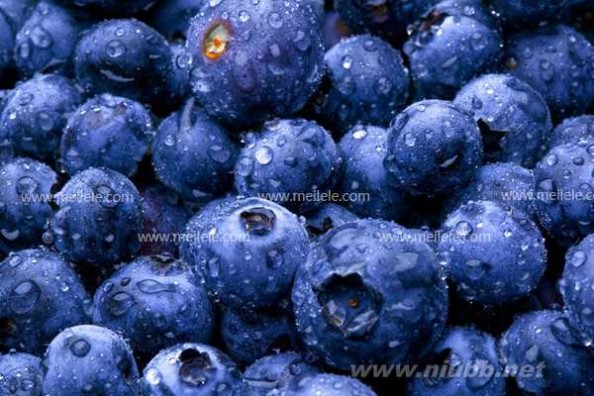 蓝莓怎么吃 蓝莓的功效与作用 介绍蓝莓怎么吃