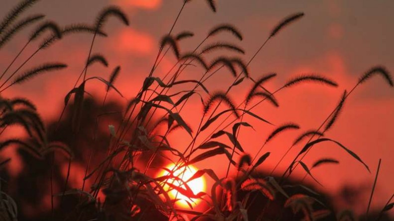 春夏秋冬图片 唯美的春夏秋冬风景图片大全