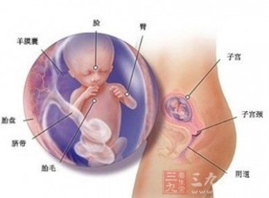 怀孕27周 怀孕27周 怀孕27周胎儿发育与妈妈变化