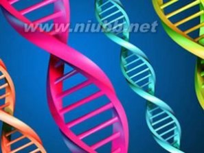 人类基因组计划 人类基因组计划：人类基因组计划-简介，人类基因组计划-研究内容