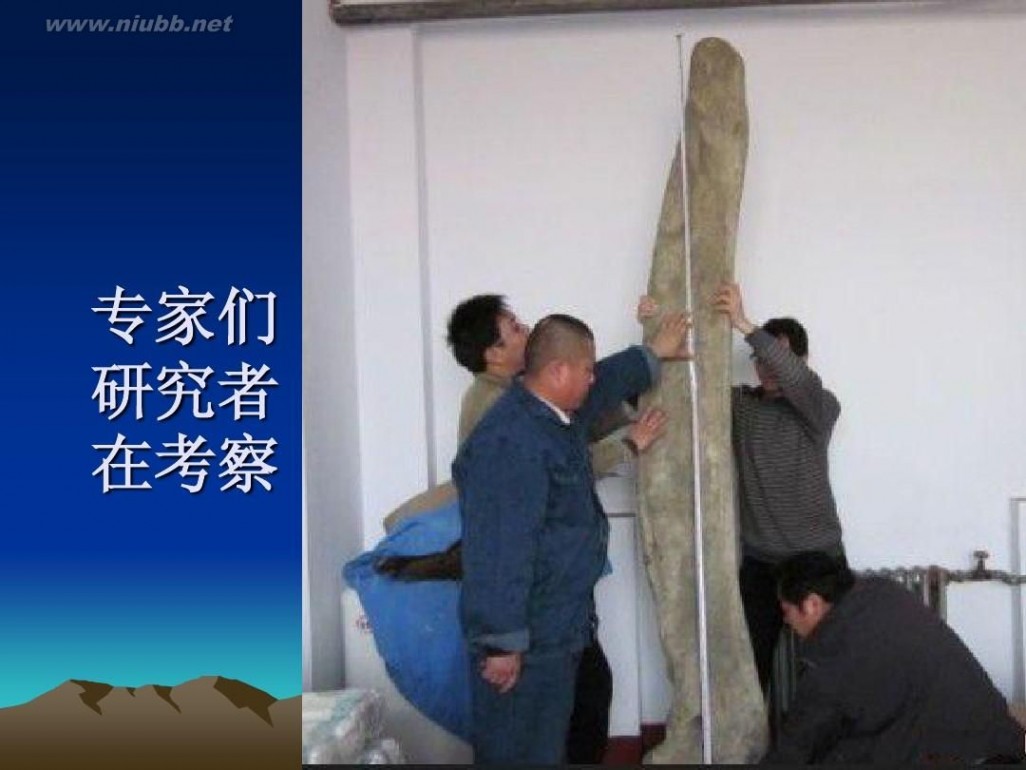 龙骨一根 揭秘4米长的神秘龙骨