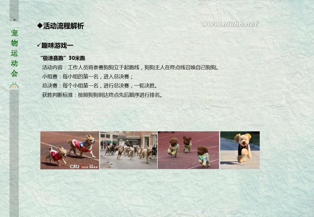 宠物运动会 2014温州首届趣味宠物运动会