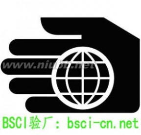 BSCI管理手册：BSCI管理手册-BSCI管理手册_BSCI