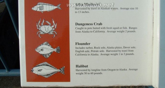 西雅图渔民码头(1)：看图识鱼+缅怀先烈
