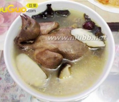 炖鸽子汤的做法 清炖鸽子汤,清炖鸽子汤的做法,清炖鸽子汤的家常做法