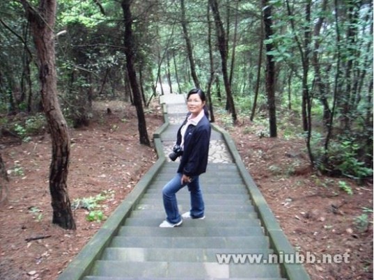 重庆市玉峰山森林公园
