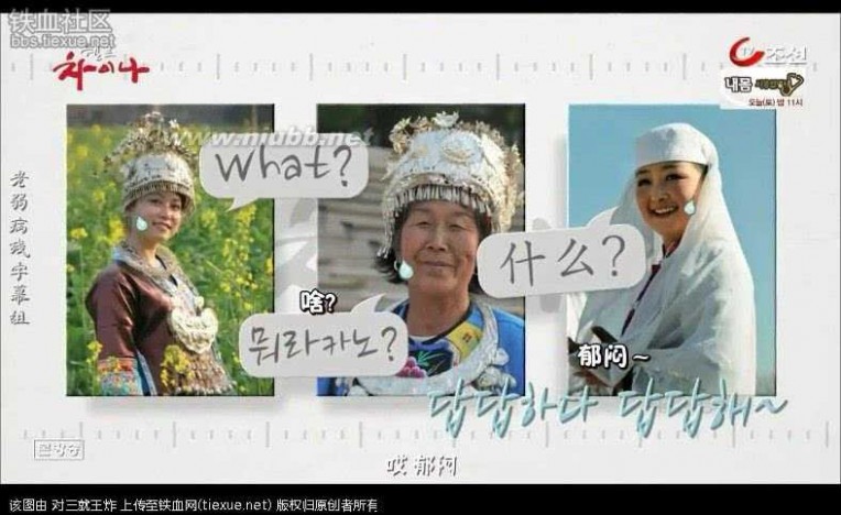 在中国的韩国人 进来看看 现在的韩国人对中国的真实看法