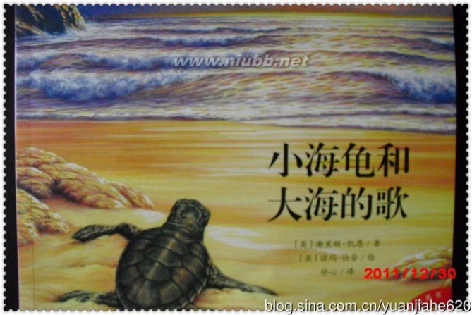 好书推荐：读《小海龟和大海的歌》，品爱的味道。。。