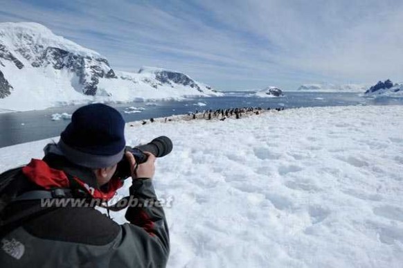南极旅游团 中国游客杀过来啦！南极会被毁灭吗？
