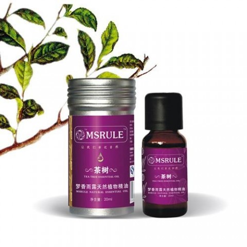 茶树精油的作用 茶树精油的使用方法 七种用法七种功效!