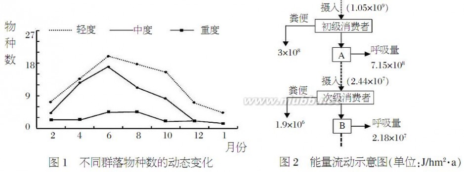 金丝雀鸟 凉山州2015届二诊生物试题 彭东旭 2