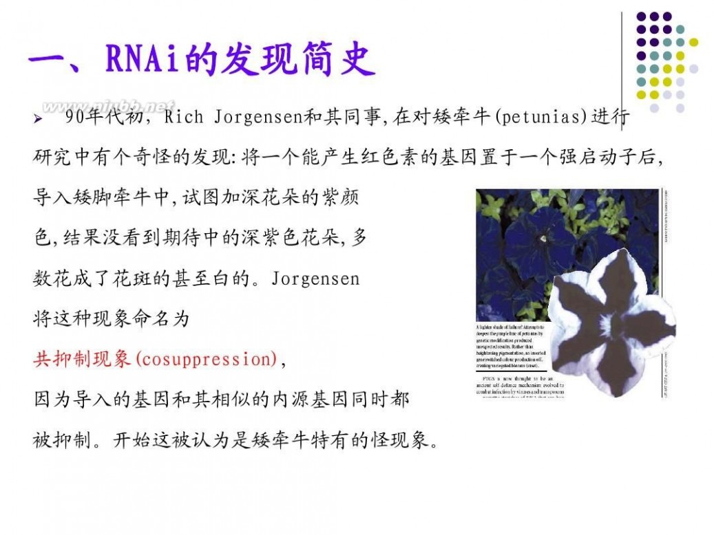 rna干扰 RNA干扰技术原理及应用