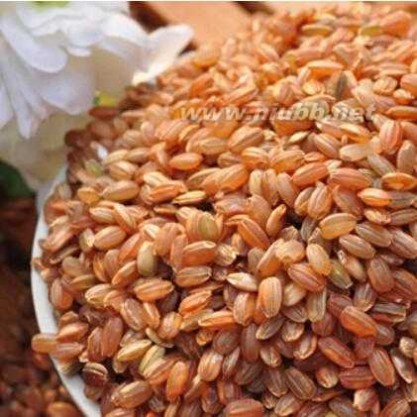 糙米的功效与作用 巴马红糙米功效作用如何 营养大解读
