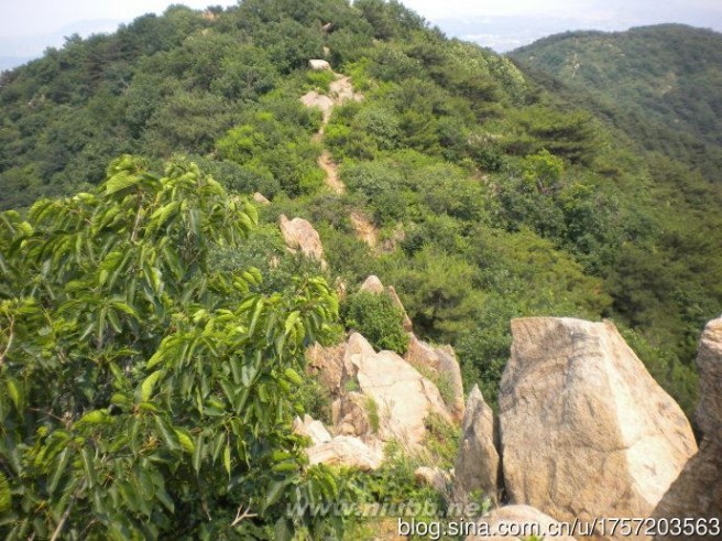 铁架山---家乡的英烈山