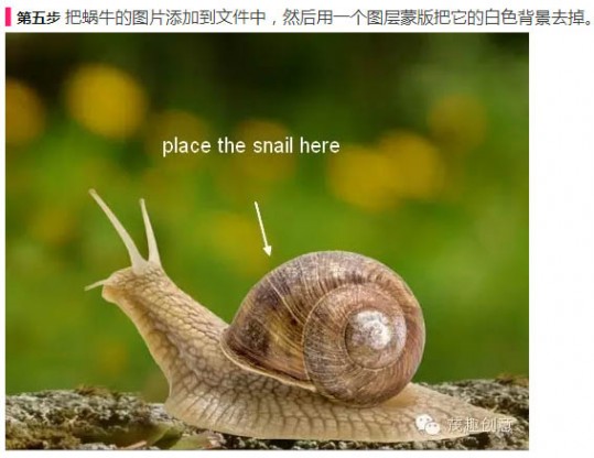 PS合成童话中坐在蜗牛上的小花仙子