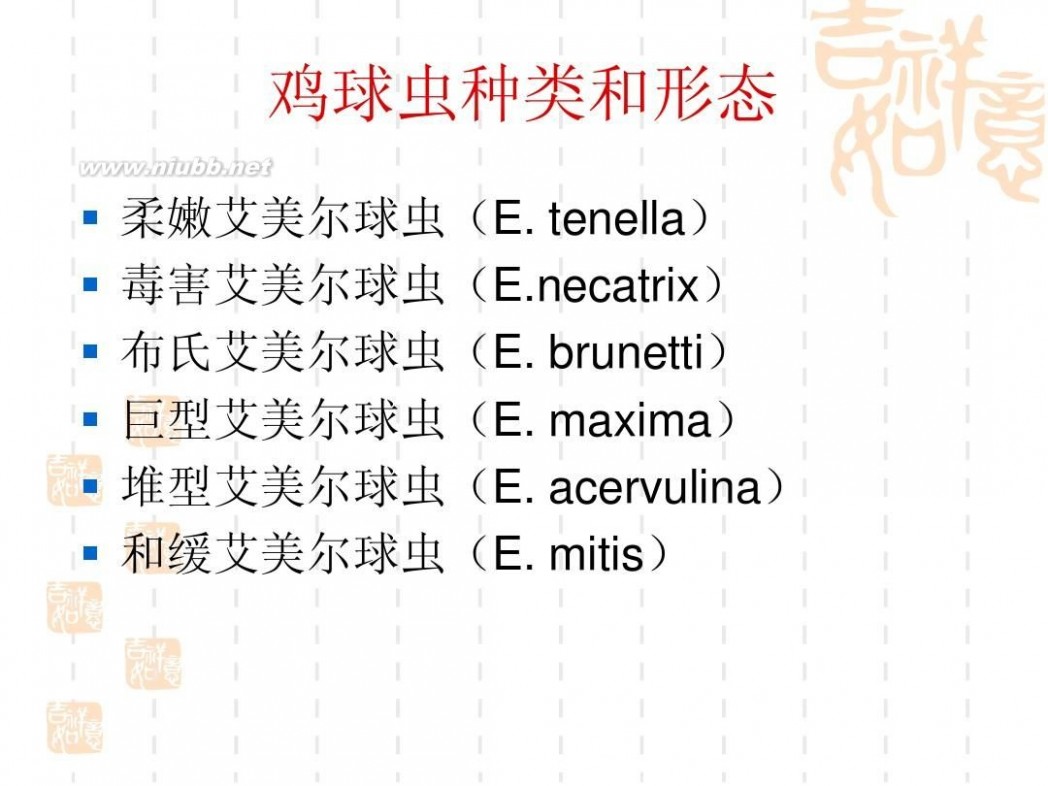 鸡球虫病 鸡球虫病及其防治