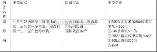 巨峰葡萄 24 巨峰葡萄栽培管理主要技术