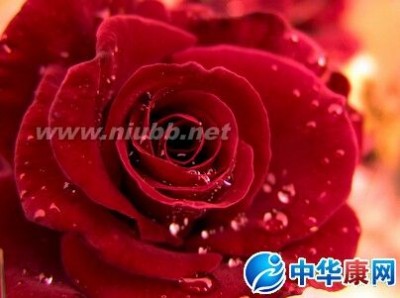 4.14是什么情人节 六月十四是什么情人节