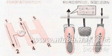 本本族 针对本本族等新手驾车的操作指南经典资料