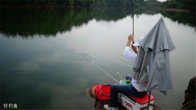 抛竿鱼饵 麻团钓法的抛竿与使用方法及两种饵料用法