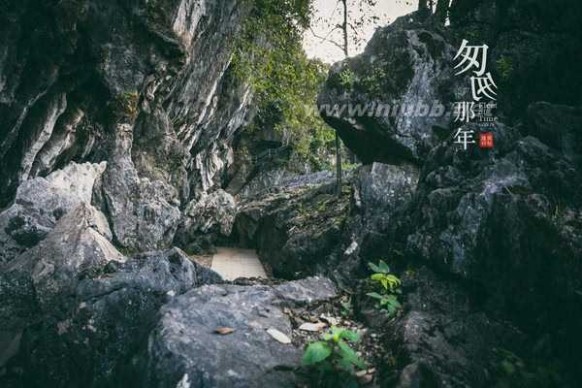 永安龟山公园 《匆匆那年》不悔梦归处，只恨太匆匆：永安之旅