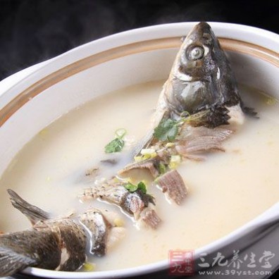 乌鱼汤的做法 乌鱼汤的做法 教你制做养生美味乌鱼汤