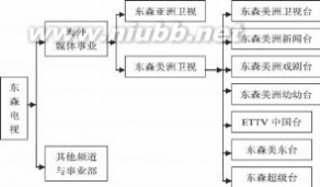 东森新闻台 东森美洲卫视与央视中文国际频道运营与传播策略比较