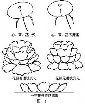 牡丹国画 国画牡丹技法教程