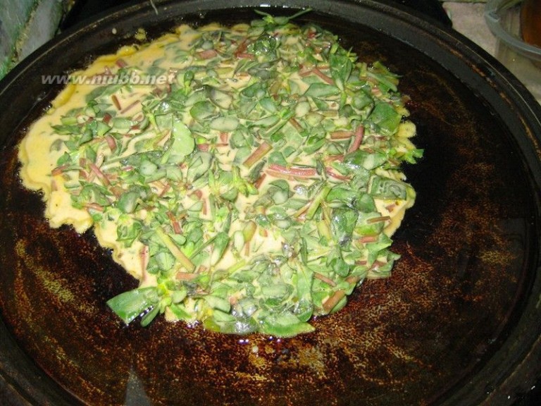 麻子菜 家常麻子菜饼的做法，家常麻子菜饼怎么做好吃，家常麻子菜饼的家常做法