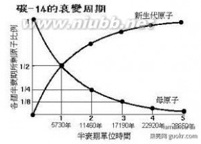 半衰期：半衰期-名词定义，半衰期-不同领域_半衰期