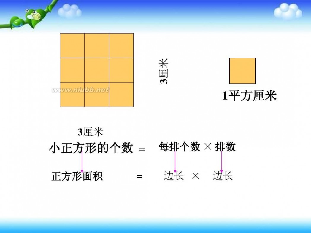 平面图形的周长和面积 平面图形的周长和面积(总复习)