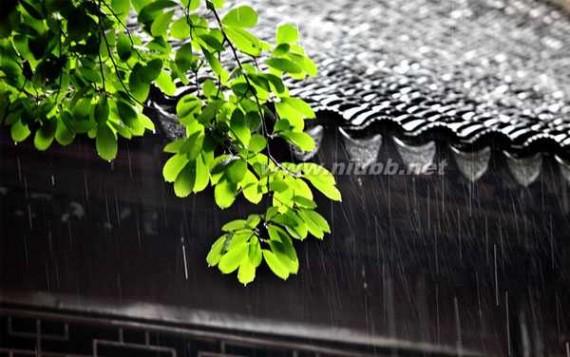 梅雨季 又到梅雨季 防潮祛湿行动起来！