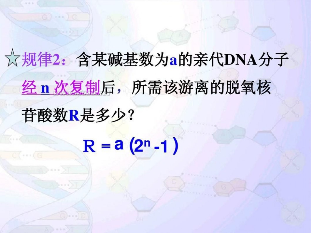 dna分子的结构ppt DNA分子的结构与复制(一轮复习)