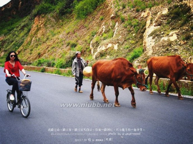 【双廊】《骑车去挖色，这一路的风景》